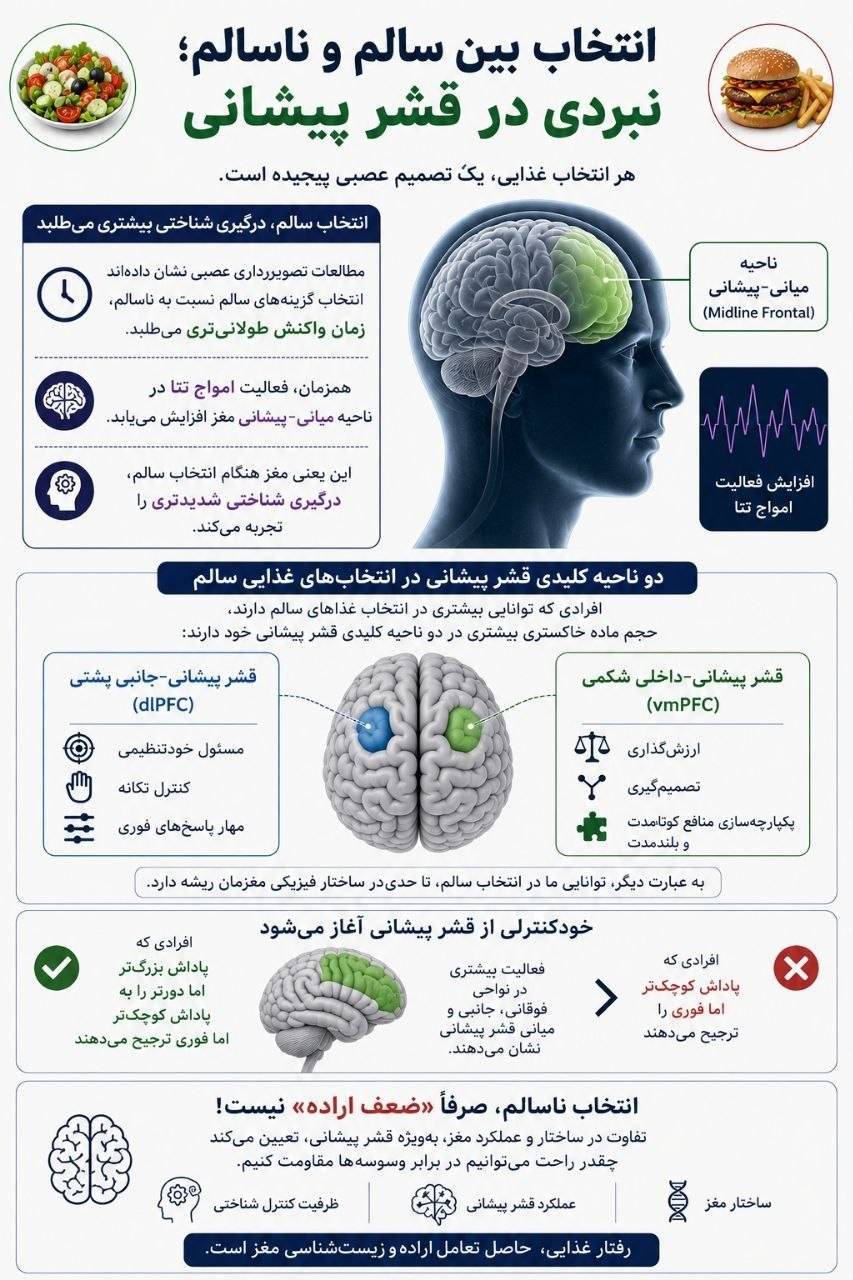نوروساینس سلامت؛ وقتی مغز ما بین سلامتی و لذت یکی را انتخاب می‌کند.